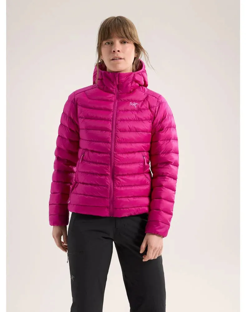 Arcteryx Cerium Hoody (Women's)