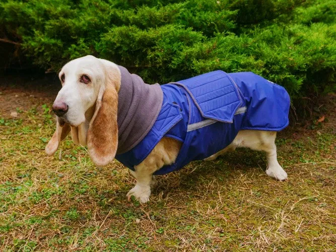 BASSET HOUND WINTER DOG COAT   NECK WARMER / MADE TO ORDER