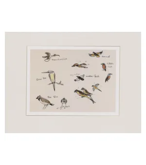 Collection of birds - Sir Kyffin Williams Print