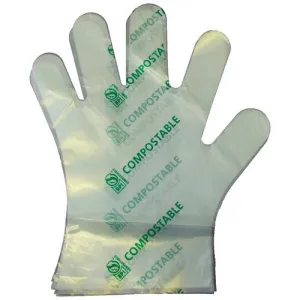 Compostable Food Service Preparation Gloves - Large