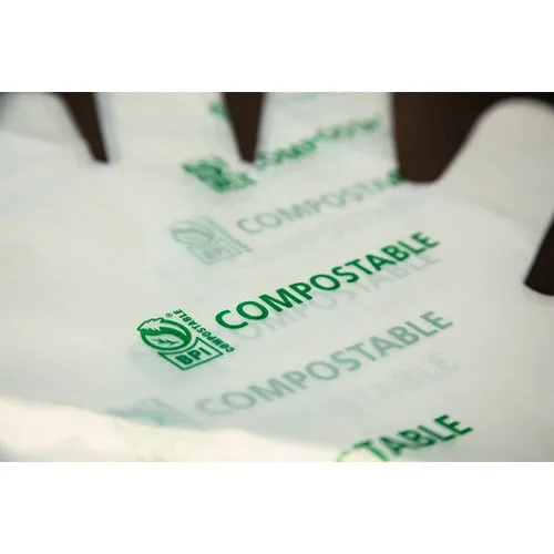 Compostable Food Service Preparation Gloves - Large