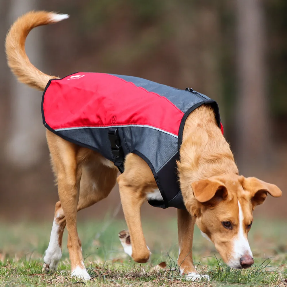 EzyDog Element Jacket - Orange XL (Customer Return)