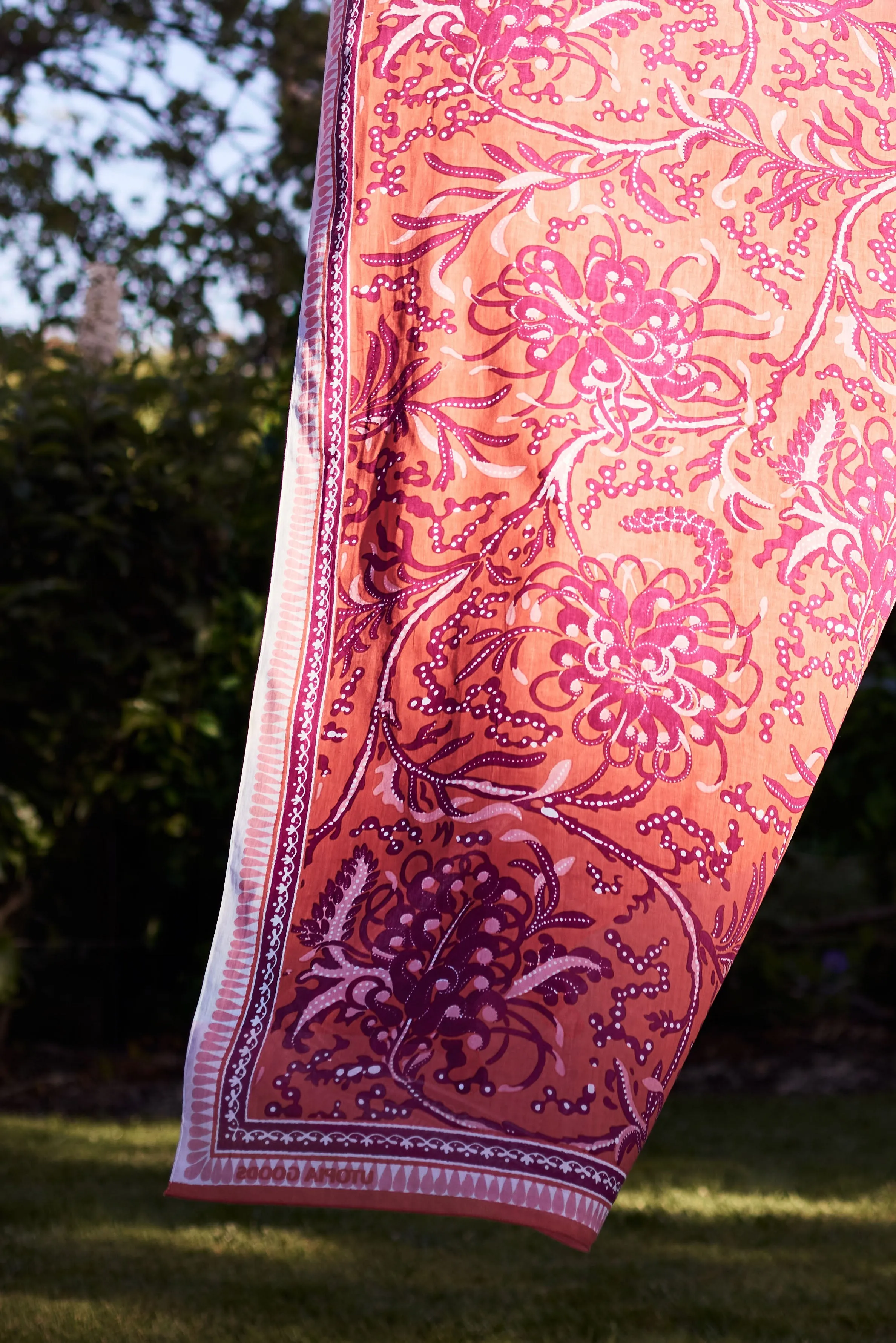 Grevillea Pink Sarong